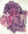 Gipsy Dharma Flamenco Festival Set for Pre Order