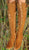 Tan Knee High Leather Boots with Tan Laces