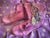 'Clockwork Fairy' Ankle Boots in Plum for Pre Order