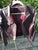 Oxblood Bolero Jacket
