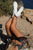 White Ankle Boots