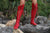 Red Knee High Leather Boots for  Women