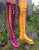 Any Gipsy Dharma Creation for Pre Order