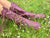Plum Leather Ankle Boots