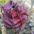 Any Gipsy Dharma Creation for Pre Order