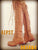 'Clockwork Fairy' Knee High Boots in Tan
